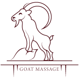 FifaLeagueSK LOGO Referencie